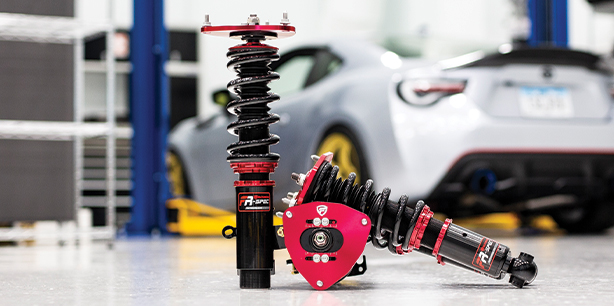 Dominate the Road in Style